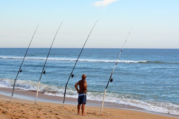 A man is fishing from the beach with four rods.