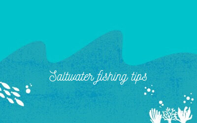 Saltwater fishing tips